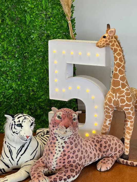 Plush Safari Animals Hire